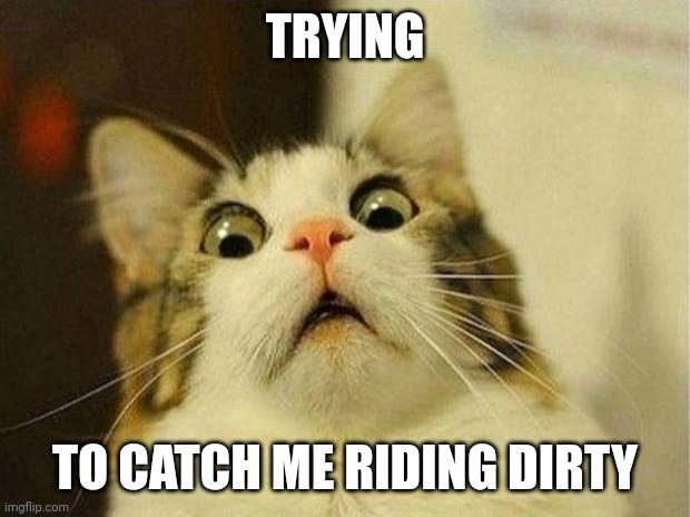 Swang Cat | TRYING; TO CATCH ME RIDING DIRTY | image tagged in memes,scared cat,catch,me,riding | made w/ Imgflip meme maker