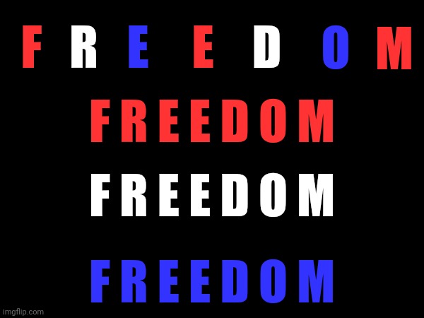 FIGHT FOR FREEDOM | F; D; R; E; E; O; M; F R E E D O M; F R E E D O M; F R E E D O M | image tagged in freedom,freedom of speech,freedom of the press,religious freedom,stay free,memes | made w/ Imgflip meme maker