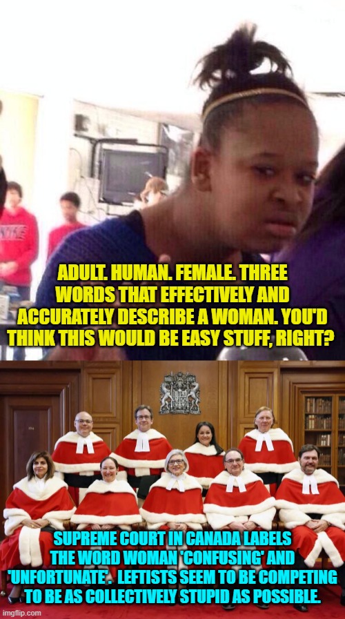Leftists generate endless meming material for conservatives. | ADULT. HUMAN. FEMALE. THREE WORDS THAT EFFECTIVELY AND ACCURATELY DESCRIBE A WOMAN. YOU'D THINK THIS WOULD BE EASY STUFF, RIGHT? SUPREME COURT IN CANADA LABELS THE WORD WOMAN 'CONFUSING' AND 'UNFORTUNATE'.  LEFTISTS SEEM TO BE COMPETING TO BE AS COLLECTIVELY STUPID AS POSSIBLE. | image tagged in black girl wat | made w/ Imgflip meme maker