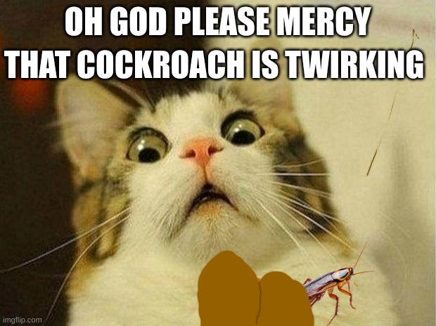 Scared Cat Meme | THAT COCKROACH IS TWIRKING; OH GOD PLEASE MERCY | image tagged in memes,scared cat | made w/ Imgflip meme maker