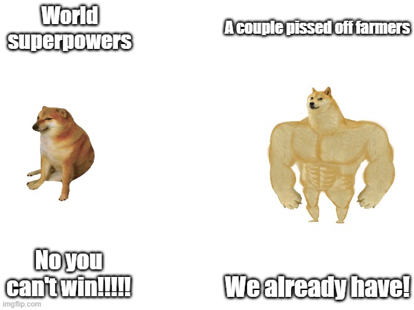 America, Vietnam, China, Afghanistan | World superpowers; A couple pissed off farmers; No you can't win!!!!! We already have! | image tagged in buff doge vs cheems,farmers,vietnam,america | made w/ Imgflip meme maker