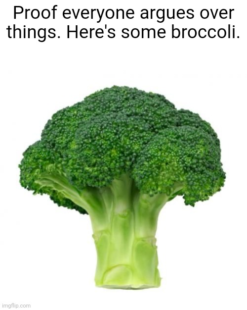 The broccoli | Proof everyone argues over things. Here's some broccoli. | image tagged in funny,memes,food,broccoli,fight,fun | made w/ Imgflip meme maker