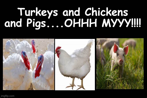 TURKEYS AND CHICKENS AND PIGS...OHHHH MYYYY!!!! | Turkeys and Chickens and Pigs....OHHH MYYY!!!! | image tagged in wizard of oz,dorothy | made w/ Imgflip meme maker
