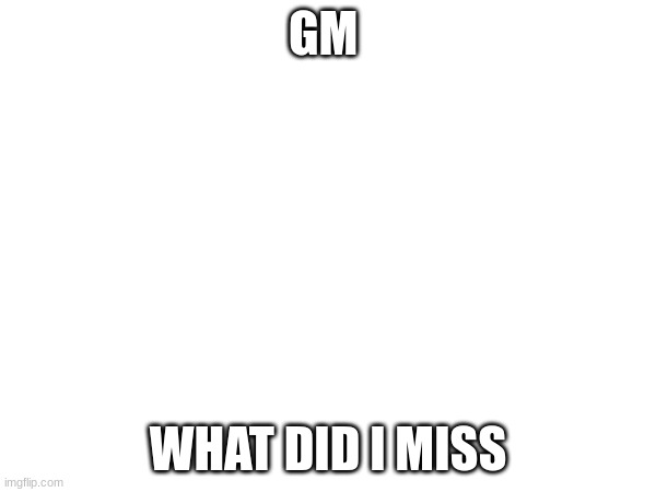 GM; WHAT DID I MISS | made w/ Imgflip meme maker