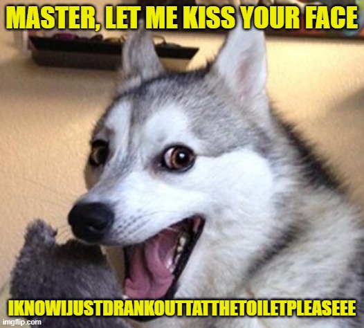 Drink Toilet Kiss | MASTER, LET ME KISS YOUR FACE; IKNOWIJUSTDRANKOUTTATTHETOILETPLEASEEE | image tagged in dog laugh,drinking toilet,good dog | made w/ Imgflip meme maker