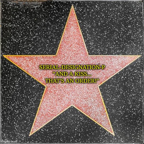 Serial-Designation-P's official Walk of Fame Star. | SERIAL-DESIGNATION-P
"AND A KISS... THAT'S AN ORDER!" | image tagged in walk of fame | made w/ Imgflip meme maker