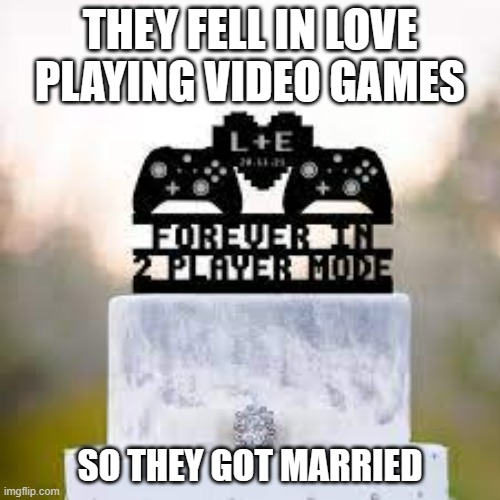 meme by Brad They played video games and then got married | THEY FELL IN LOVE PLAYING VIDEO GAMES; SO THEY GOT MARRIED | image tagged in gaming,funny,pc gaming,video games,computer games,humor | made w/ Imgflip meme maker