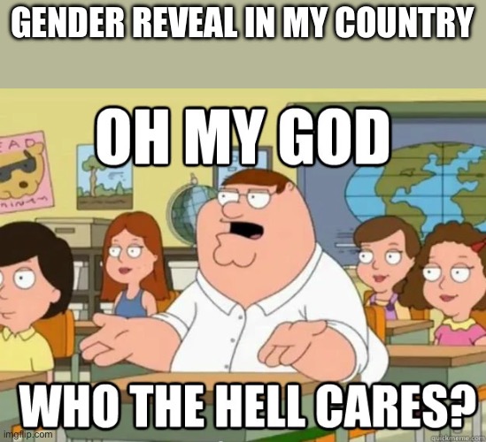 Oh my god who the hell cares? | GENDER REVEAL IN MY COUNTRY | image tagged in oh my god who the hell cares | made w/ Imgflip meme maker