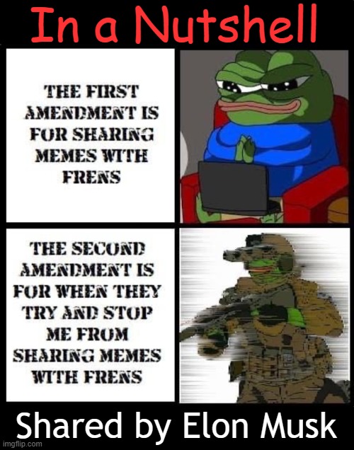 The 2nd Amendment Protects the 1st Amendment | In a Nutshell; Shared by Elon Musk | image tagged in political humor,second amendment,first amendment,truth,in a nutshell,friends | made w/ Imgflip meme maker