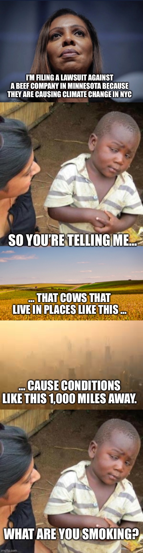 Makes sense to me, what’s your problem? | I’M FILING A LAWSUIT AGAINST A BEEF COMPANY IN MINNESOTA BECAUSE THEY ARE CAUSING CLIMATE CHANGE IN NYC; SO YOU’RE TELLING ME…; … THAT COWS THAT LIVE IN PLACES LIKE THIS …; … CAUSE CONDITIONS LIKE THIS 1,000 MILES AWAY. WHAT ARE YOU SMOKING? | image tagged in letitia james looks up,so you're telling me,farmland,smog | made w/ Imgflip meme maker