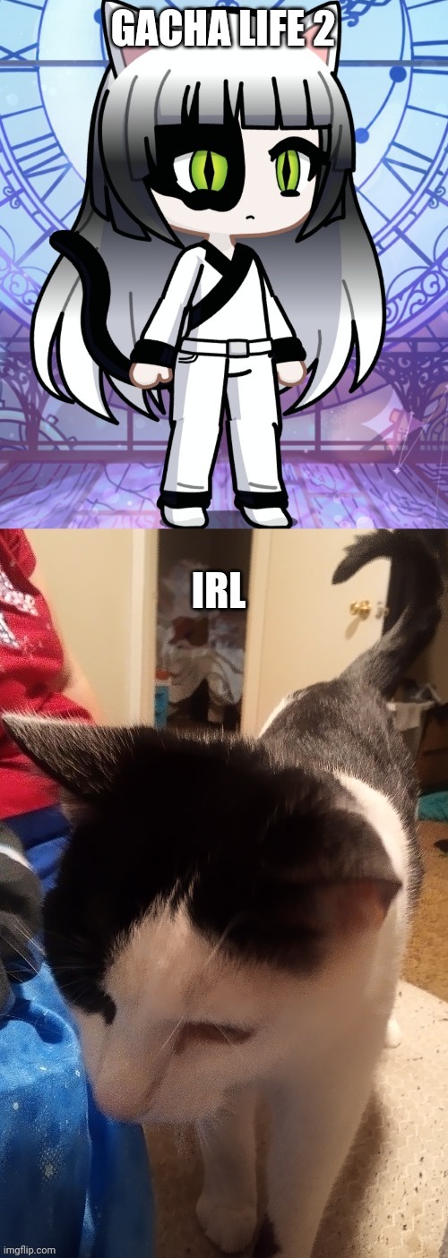 I made my cat in gacha | made w/ Imgflip meme maker