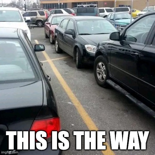 This is the way | THIS IS THE WAY | image tagged in bad parking | made w/ Imgflip meme maker