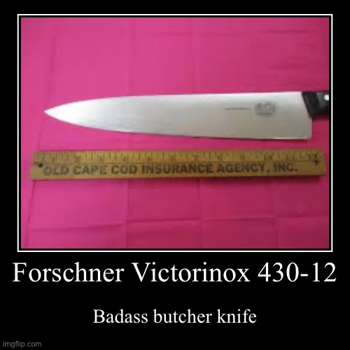 Forschner Victorinox 430-12 | Badass butcher knife | image tagged in funny,demotivationals,butcher knifes,weapons | made w/ Imgflip demotivational maker