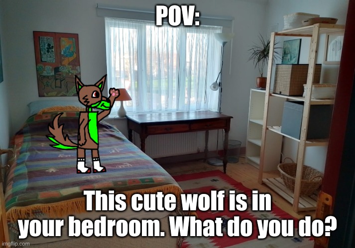Basic Rules! No, you cannot kill him(he's only 4! What the hell? D:) | POV:; This cute wolf is in your bedroom. What do you do? | image tagged in no erp,no killing,weapons prohibited,magic allowed if safe | made w/ Imgflip meme maker