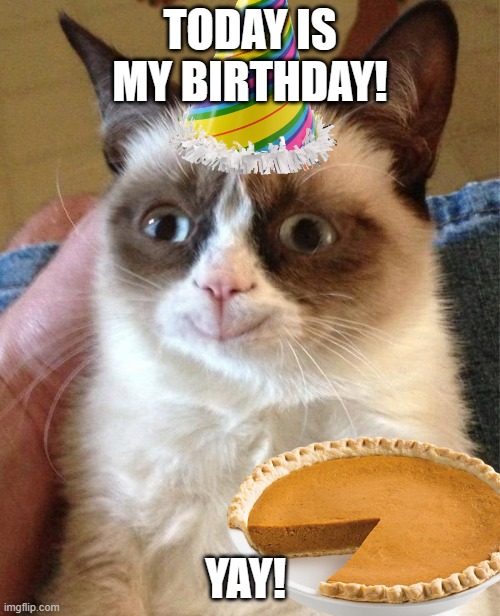 :D | TODAY IS MY BIRTHDAY! YAY! | image tagged in memes,grumpy cat happy,grumpy cat | made w/ Imgflip meme maker