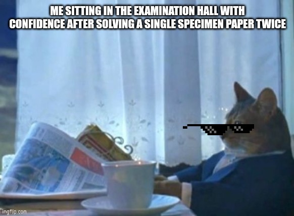 Sheer confidence | ME SITTING IN THE EXAMINATION HALL WITH CONFIDENCE AFTER SOLVING A SINGLE SPECIMEN PAPER TWICE | image tagged in memes,i should buy a boat cat | made w/ Imgflip meme maker