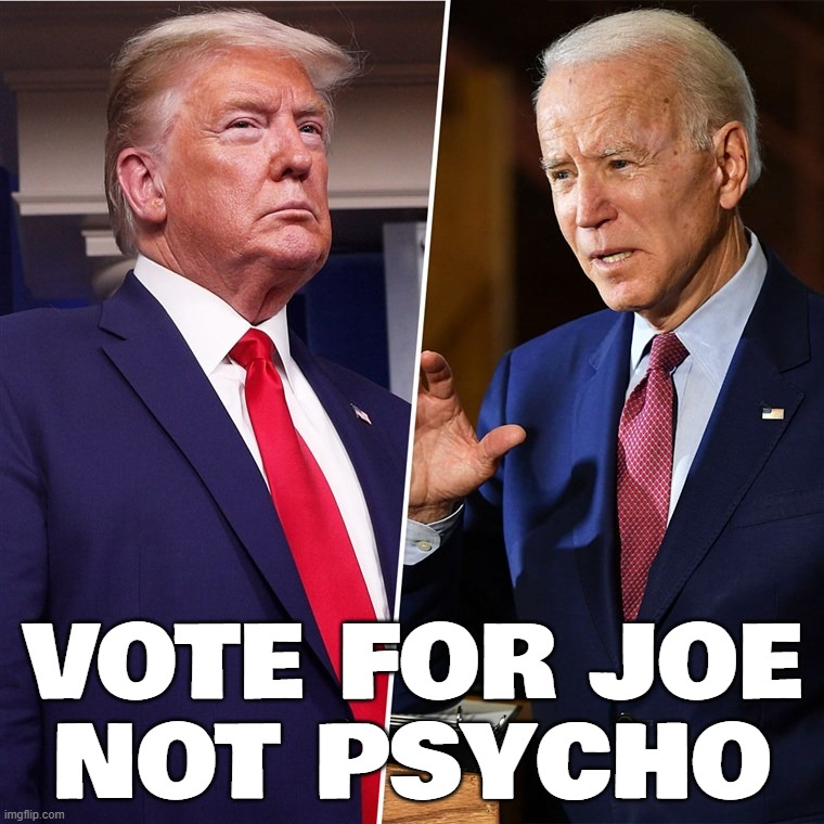 Trump Biden | VOTE FOR JOE
NOT PSYCHO | image tagged in trump biden | made w/ Imgflip meme maker