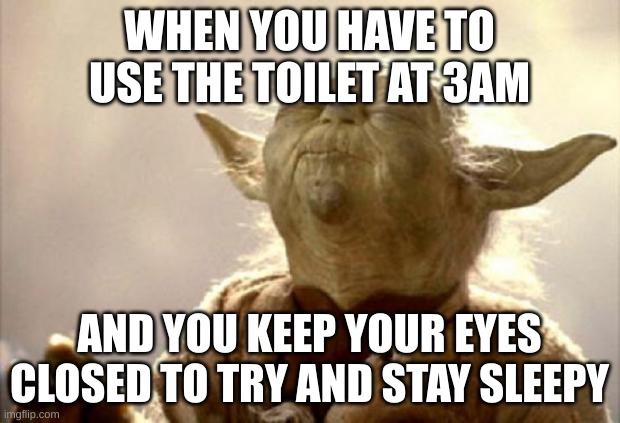 and then you can't fall back asleep :'( | WHEN YOU HAVE TO USE THE TOILET AT 3AM; AND YOU KEEP YOUR EYES CLOSED TO TRY AND STAY SLEEPY | image tagged in yoda smell,memes,relatable | made w/ Imgflip meme maker