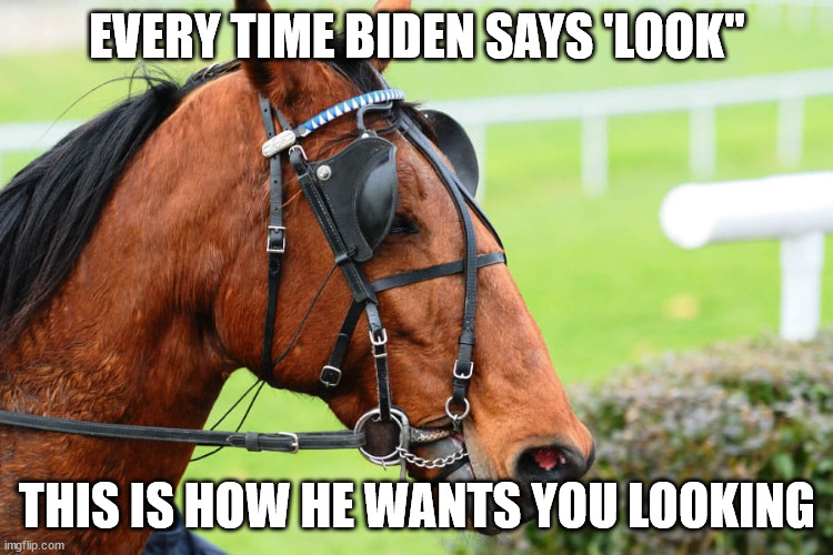 Blinders, see? | EVERY TIME BIDEN SAYS 'LOOK"; THIS IS HOW HE WANTS YOU LOOKING | image tagged in biden,blind man,look son | made w/ Imgflip meme maker