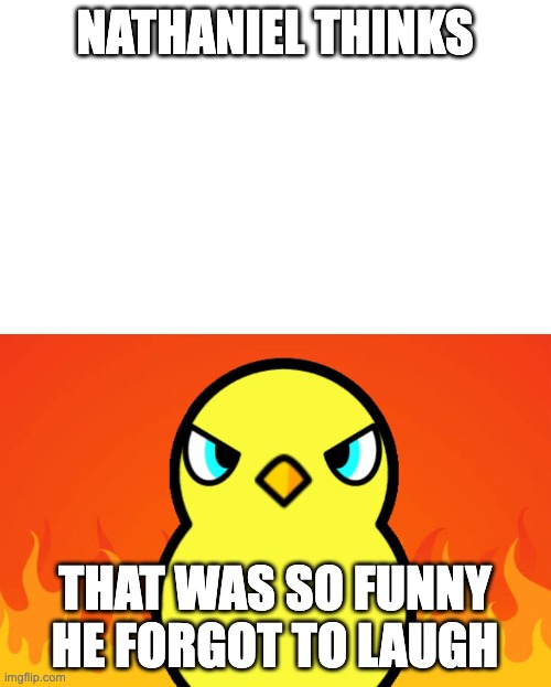 Duck Life Duck Hates | NATHANIEL THINKS THAT WAS SO FUNNY HE FORGOT TO LAUGH | image tagged in duck life duck hates | made w/ Imgflip meme maker