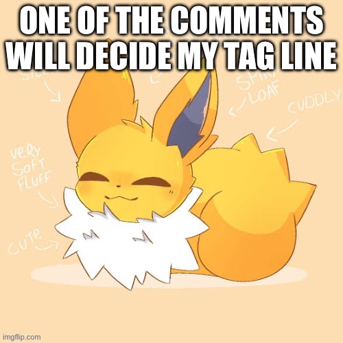 Jolteon loaf | ONE OF THE COMMENTS WILL DECIDE MY TAG LINE | image tagged in jolteon loaf | made w/ Imgflip meme maker