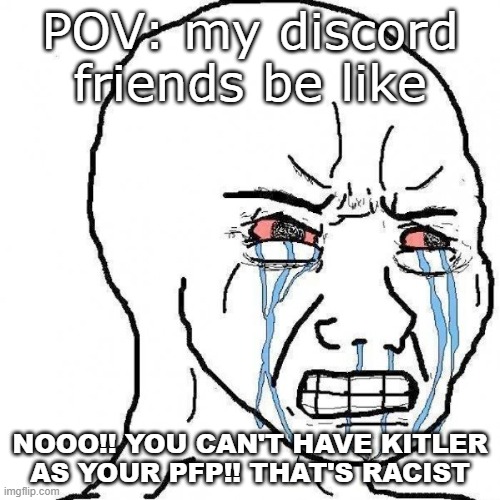 Discord friends be like: | POV: my discord friends be like; NOOO!! YOU CAN'T HAVE KITLER AS YOUR PFP!! THAT'S RACIST | image tagged in crying face,discord | made w/ Imgflip meme maker