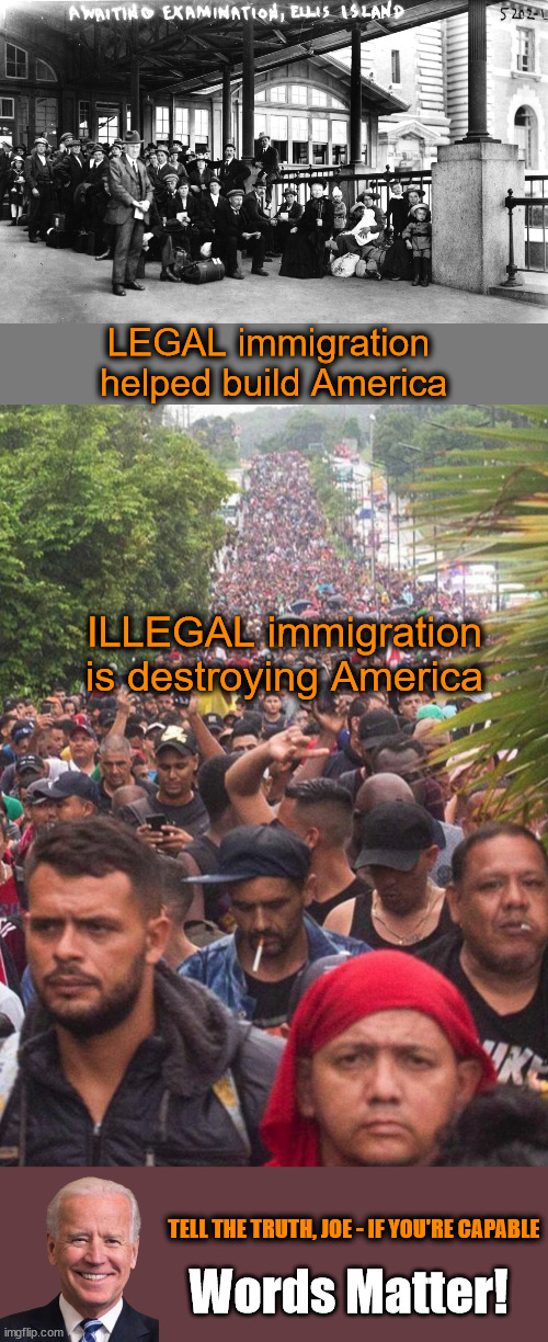 Don't Let Partial Truths Go Unchallenged | LEGAL immigration
 helped build America; ILLEGAL immigration is destroying America; TELL THE TRUTH, JOE - IF YOU'RE CAPABLE; Words Matter! | image tagged in illegal immigrants,joe biden,words matter | made w/ Imgflip meme maker