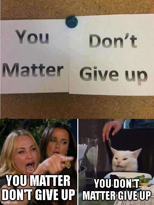 You matter don't give up | YOU MATTER DON'T GIVE UP; YOU DON'T MATTER GIVE UP | image tagged in angry lady cat | made w/ Imgflip meme maker
