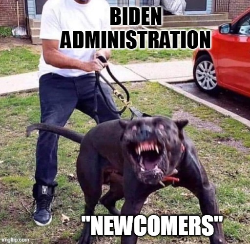 How dare you call them illegal! | BIDEN ADMINISTRATION; "NEWCOMERS" | image tagged in vicious dog,illegal immigration,joe biden,illegal aliens | made w/ Imgflip meme maker