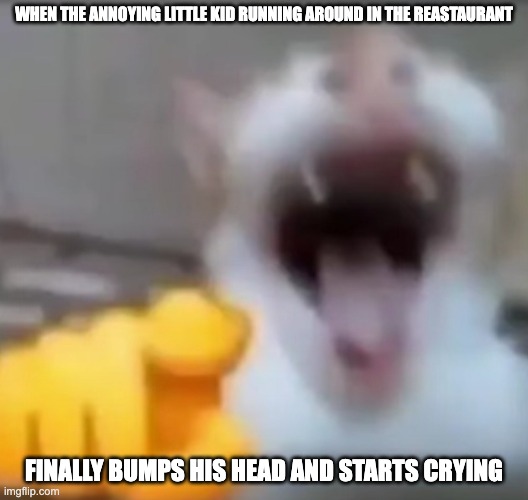 Cat pointing and laughing | WHEN THE ANNOYING LITTLE KID RUNNING AROUND IN THE REASTAURANT; FINALLY BUMPS HIS HEAD AND STARTS CRYING | image tagged in cat pointing and laughing | made w/ Imgflip meme maker