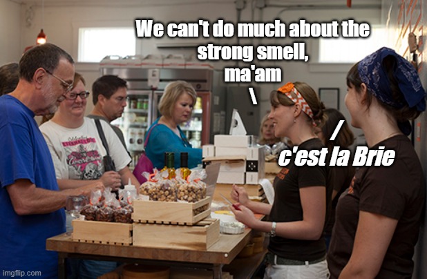 La Vacherin Qui Reeks | We can't do much about the
 strong smell, 
ma'am
\; /
c'est la Brie | image tagged in punny | made w/ Imgflip meme maker