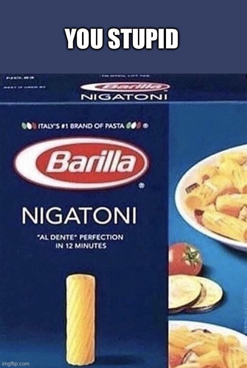 Nigatoni | YOU STUPID | image tagged in nigatoni | made w/ Imgflip meme maker