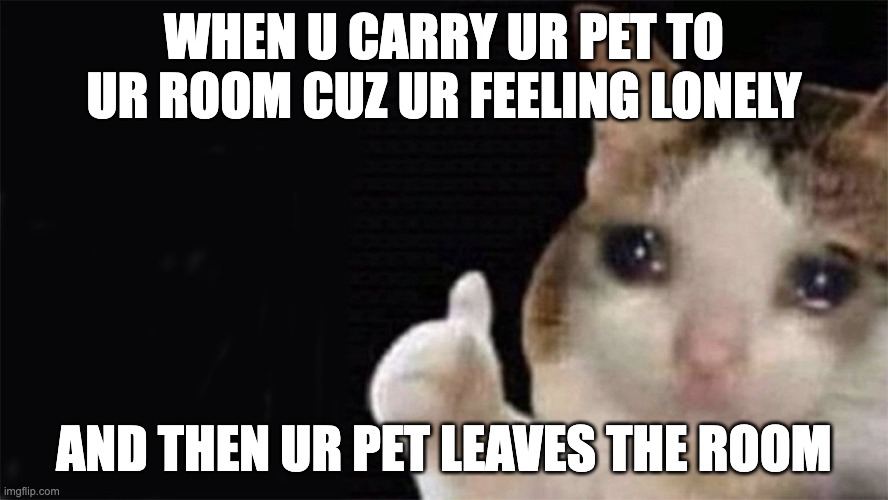 Crying cat | WHEN U CARRY UR PET TO UR ROOM CUZ UR FEELING LONELY; AND THEN UR PET LEAVES THE ROOM | image tagged in crying cat | made w/ Imgflip meme maker