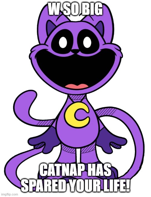 Catnap | W SO BIG CATNAP HAS SPARED YOUR LIFE! | image tagged in catnap | made w/ Imgflip meme maker
