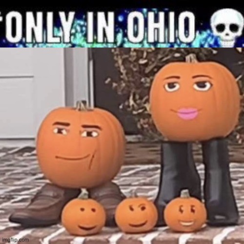 image tagged in only in ohio shut up you 9 year old,pumpkins with roblox faces | made w/ Imgflip meme maker