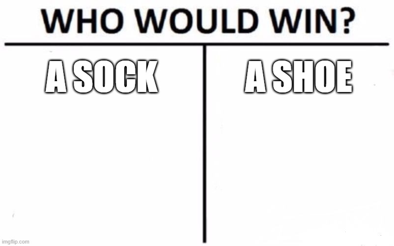 but who tho | A SOCK; A SHOE | image tagged in memes,who would win | made w/ Imgflip meme maker