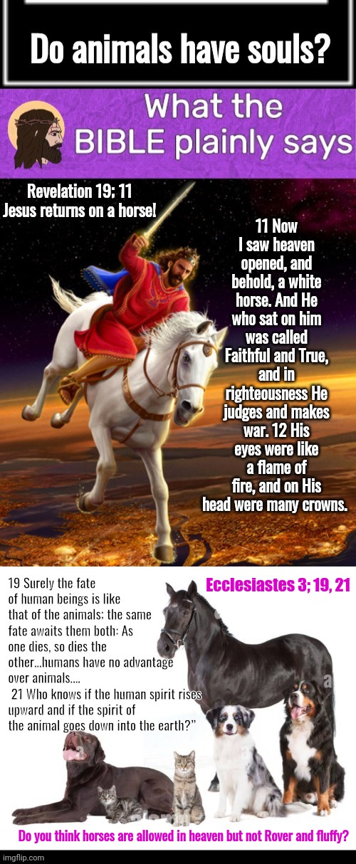 What the Bible says about animals having siuls | 11 Now I saw heaven opened, and behold, a white horse. And He who sat on him was called Faithful and True, and in righteousness He judges and makes war. 12 His eyes were like a flame of fire, and on His head were many crowns. Revelation 19; 11
Jesus returns on a horse! Ecclesiastes 3; 19, 21; Do you think horses are allowed in heaven but not Rover and fluffy? | image tagged in bible verse,jesus,horse,dogs an cats | made w/ Imgflip meme maker