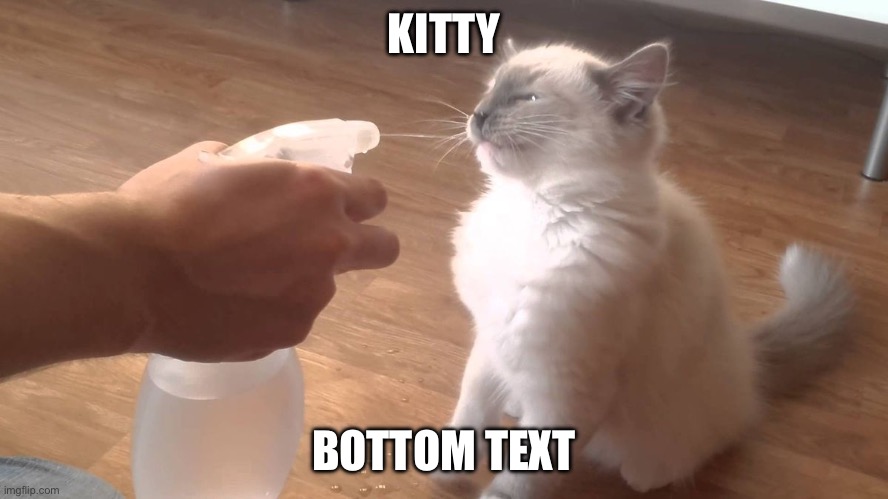 Cat water spray | KITTY BOTTOM TEXT | image tagged in cat water spray | made w/ Imgflip meme maker