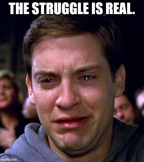 The struggle | THE STRUGGLE IS REAL. | image tagged in the struggle | made w/ Imgflip meme maker