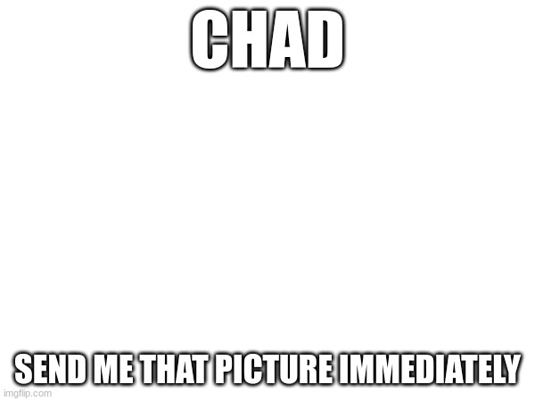 CHAD; SEND ME THAT PICTURE IMMEDIATELY | made w/ Imgflip meme maker