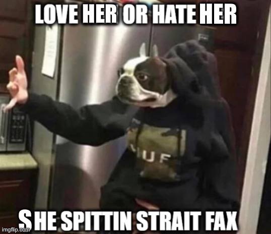 Love Him or hate him he spittin strait fax | HER HER S | image tagged in love him or hate him he spittin strait fax | made w/ Imgflip meme maker