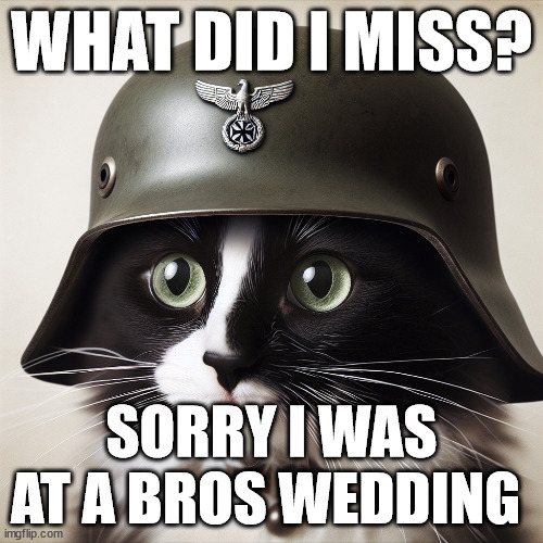 German cat | WHAT DID I MISS? SORRY I WAS AT A BROS WEDDING | image tagged in german cat | made w/ Imgflip meme maker