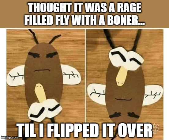Fly Issues | THOUGHT IT WAS A RAGE FILLED FLY WITH A BONER... TIL I FLIPPED IT OVER | image tagged in funny,memes | made w/ Imgflip meme maker