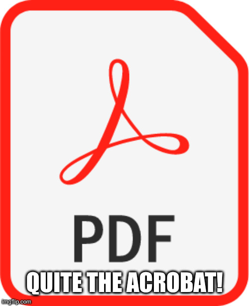 PDF icon | QUITE THE ACROBAT! | image tagged in pdf icon | made w/ Imgflip meme maker