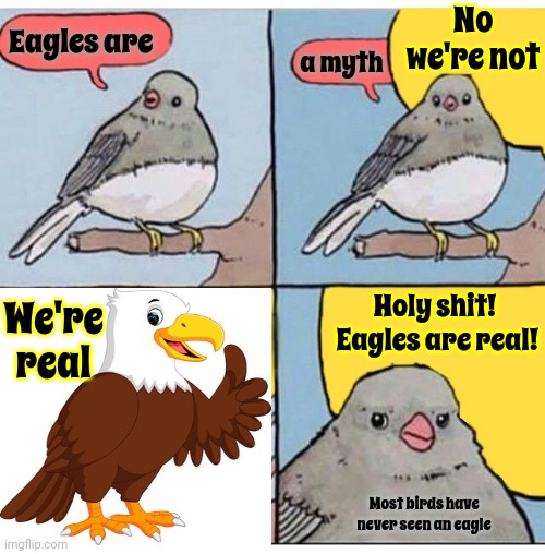 Probably Thankful For It Too | No we're not; Eagles are; a myth; Holy shit!  Eagles are real! We're real; Most birds have never seen an eagle | image tagged in annoyed bird,birds,bald eagle,myths,mythology,memes | made w/ Imgflip meme maker