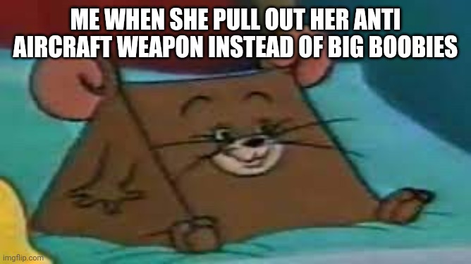 Bro shot down malaysian airlines flight 17 | ME WHEN SHE PULL OUT HER ANTI AIRCRAFT WEAPON INSTEAD OF BIG BOOBIES | image tagged in jerry ate cheese | made w/ Imgflip meme maker