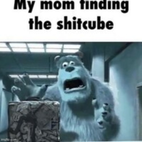my mom finding the shitcube | image tagged in my mom finding the shitcube | made w/ Imgflip meme maker