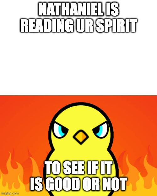 Duck Life Duck Hates | NATHANIEL IS READING UR SPIRIT; TO SEE IF IT IS GOOD OR NOT | image tagged in duck life duck hates | made w/ Imgflip meme maker