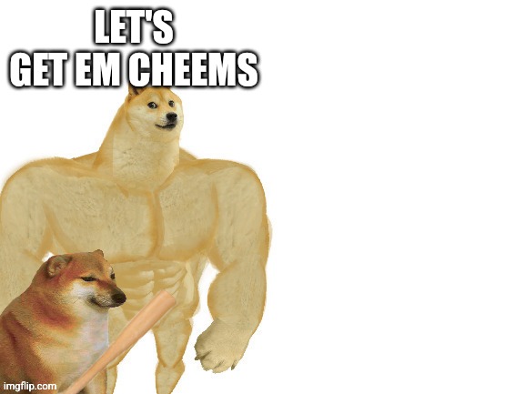 Let's get em cheems template | LET'S GET EM CHEEMS | image tagged in cheem team | made w/ Imgflip meme maker