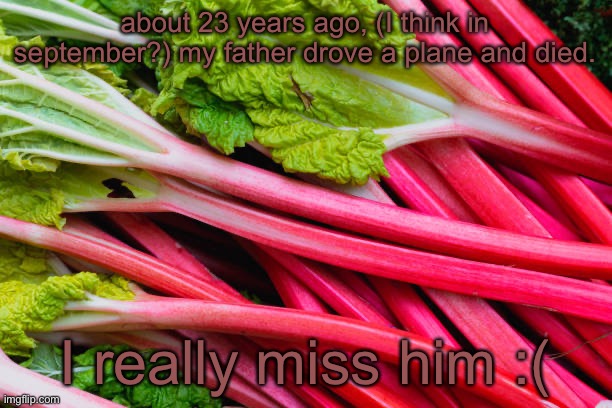 rhubarb | about 23 years ago, (I think in september?) my father drove a plane and died. I really miss him :( | image tagged in rhubarb | made w/ Imgflip meme maker